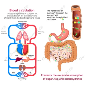 Ourlyard® Fat Burning & Blood Sugar Support Super Yerba Mate Instant Tea Powder