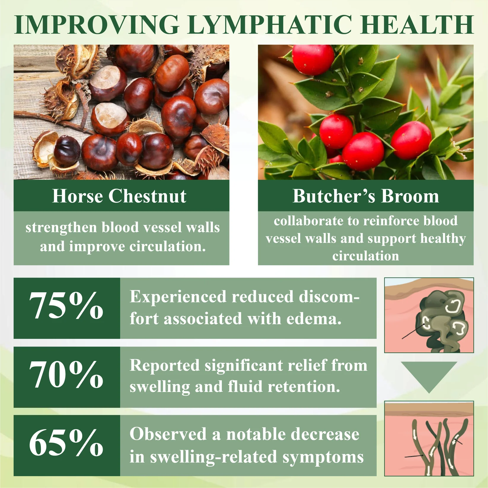 ATTDX® CircuHerb Edema Soothing & Healing Balm 3 ATTDX® CircuHerb Edema Soothing & Healing Balm