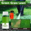 Hydro Seeding Lawn Solution