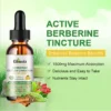 GLOWVIX Berberine Liquid Supplement with Ceylon Cinnamon Berberine Drops 1500mg