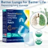 Ourlyard DoubleNano Advanced Lung Detox Relief Patch