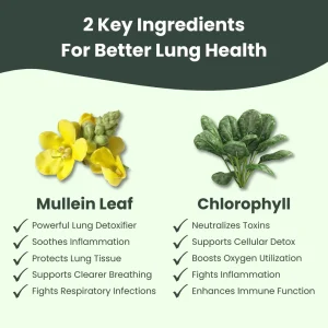 Nuv® - Mullein + Chlorophyll Lung Drops