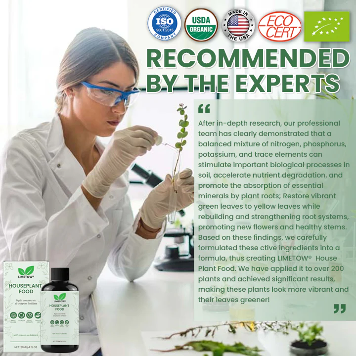 LIMETOW® House Plant Food 6 LIMETOW® House Plant Food