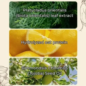 LOVILDS™ Ginseng Ginger Anti-Hair Loss Shampoo 300ml