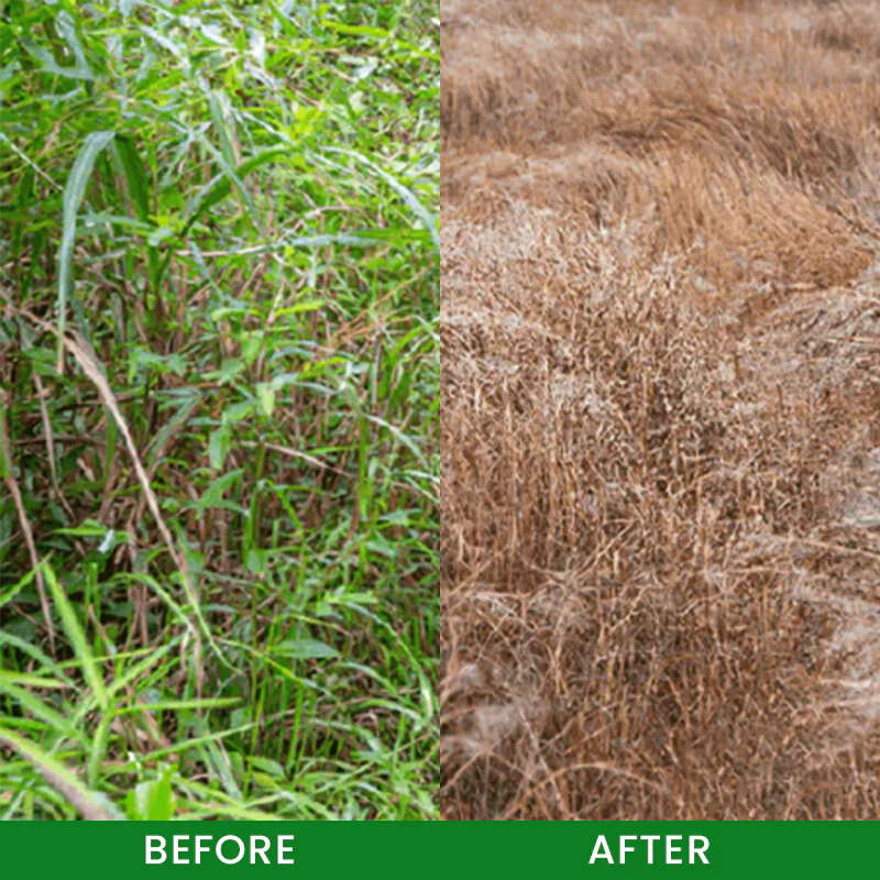 LIMETOW® Cyclosinone Herbicide Granules 8 LIMETOW® Cyclosinone Herbicide Granules