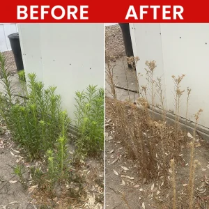 LIMETOW® Weed Killer Spray