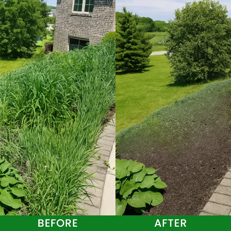 QIAWI® Cyclosinone Herbicide Granules 12 QIAWI® Cyclosinone Herbicide Granules