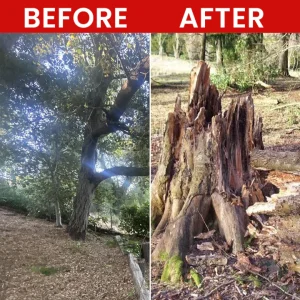 LIMETOW® Weed Killer Spray