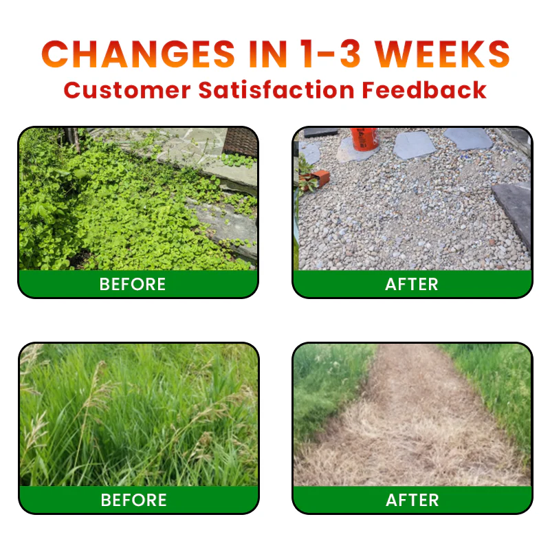 QIAWI® Cyclosinone Herbicide Granules 4 QIAWI® Cyclosinone Herbicide Granules