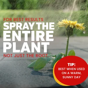 LIMETOW® Weed Killer Spray