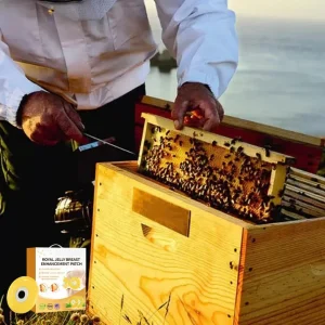 Newyuo™ Royal Jelly Breast Enhancement Patch