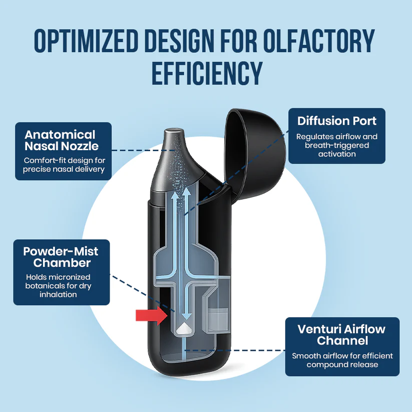 DAFEILA® FreshLoom Cognitive Regeneration Inhaler 5 DAFEILA® FreshLoom Cognitive Regeneration Inhaler