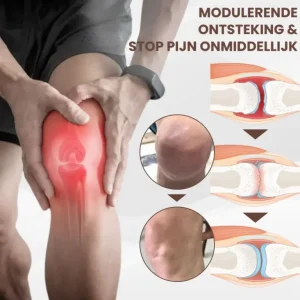 MagniBee™ Joint Support Formula Aerosol | Relieves stiff joints