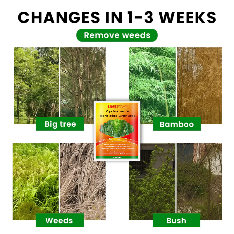 LIMETOW® Cyclosinone Herbicide Granules 4 LIMETOW® Cyclosinone Herbicide Granules