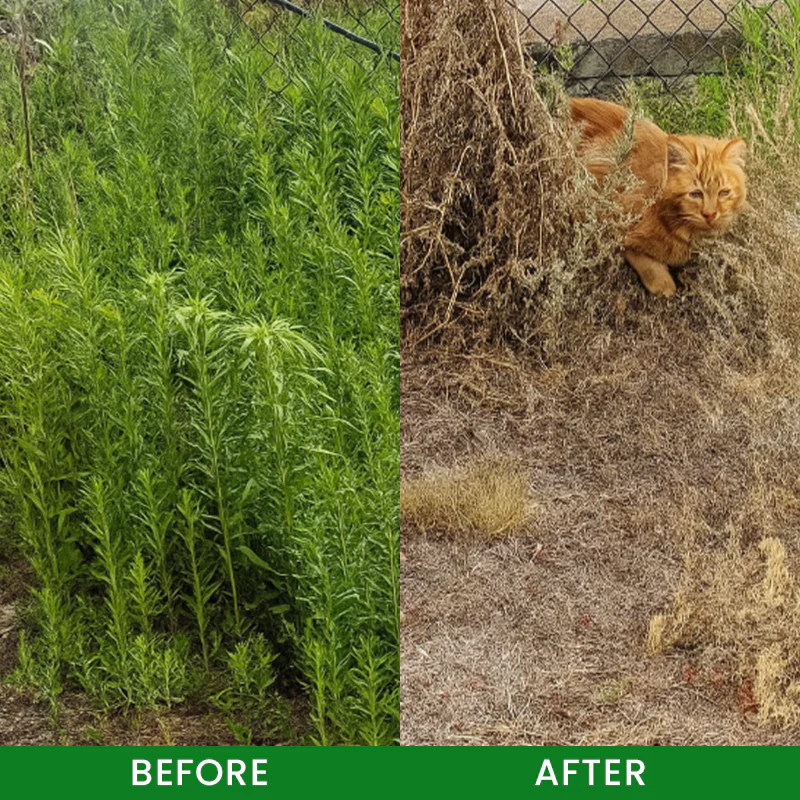 LIMETOW® Weed Remover 8 LIMETOW® Weed Remover