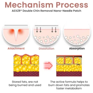 AEXZR® Double Chin Removal Nano-Needle Patch