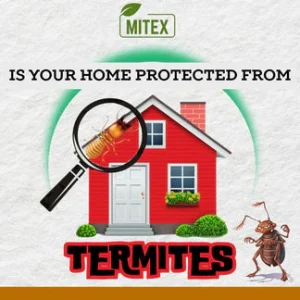 Mitex Termite Killer Spray
