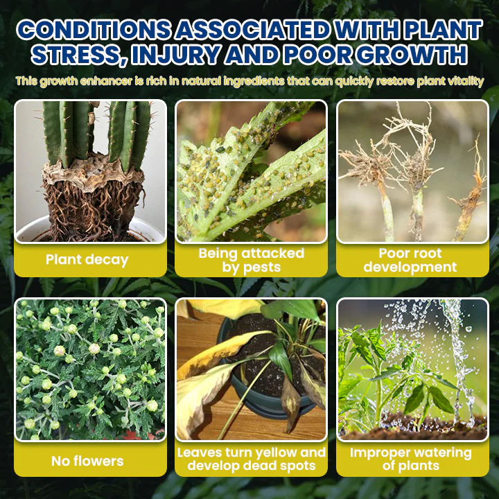 LIMETOW® Plant Teranry Regenerant 2 LIMETOW® Plant Teranry Regenerant