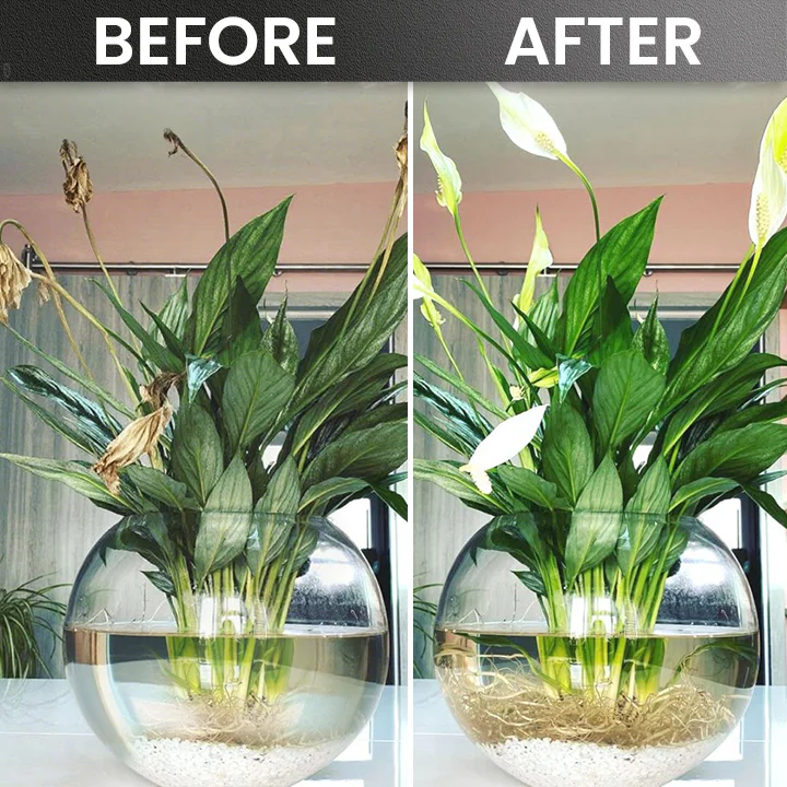 LIMETOW® Plant Rooting Powdering Powder 14 LIMETOW® Plant Rooting Powder