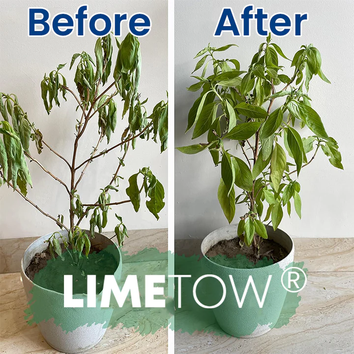 LIMETOW® Plant Teranry Regenerant 3 LIMETOW® Plant Teranry Regenerant