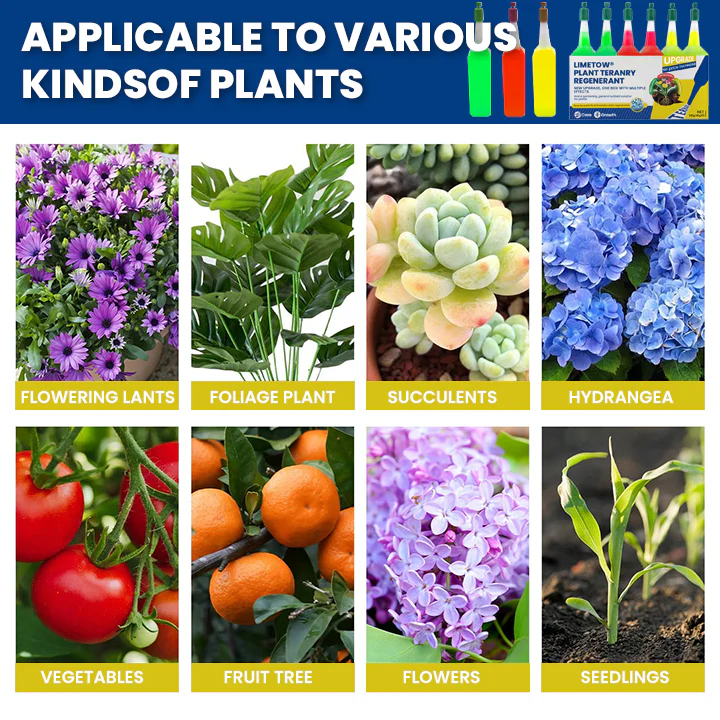 LIMETOW® Plant Teranry Regenerant 7 LIMETOW® Plant Teranry Regenerant