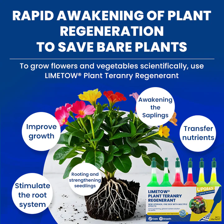 LIMETOW® Plant Teranry Regenerant 16 LIMETOW® Plant Teranry Regenerant