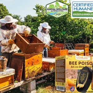LOVILDS™ Bee Poison All-in-One Cream