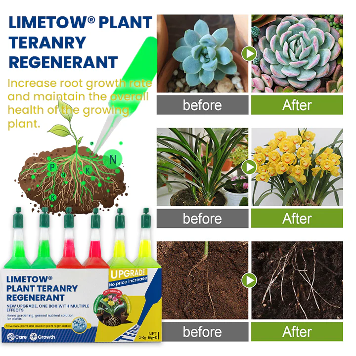 LIMETOW® Plant Teranry Regenerant 9 LIMETOW® Plant Teranry Regenerant