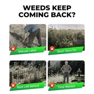 Cyclosinone Herbicide Granules 500gm