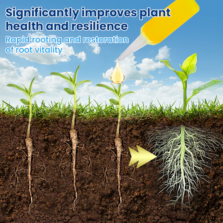 LIMETOW® Plant Teranry Regenerant 8 LIMETOW® Plant Teranry Regenerant