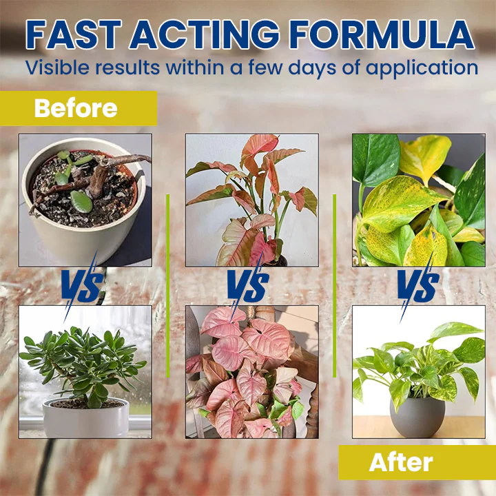 LIMETOW® Plant Teranry Regenerant 11 LIMETOW® Plant Teranry Regenerant