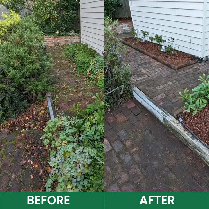 LIMETOW® 5% Hexazinone Herbicide Granules 13 LIMETOW® 5% Hexazinone Herbicide Granules