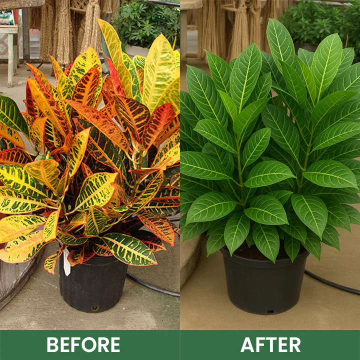 LIMETOW® Foliar Brightening Nutrient Spray 16 LIMETOW® Foliar Brightening Nutrient Spray