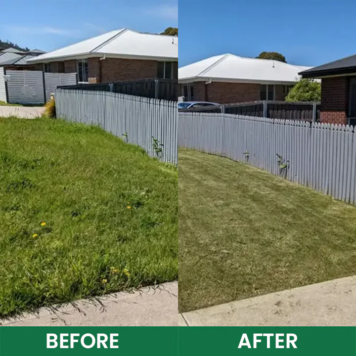 LIMETOW® 5% Hexazinone Herbicide Granules 10 LIMETOW® 5% Hexazinone Herbicide Granules